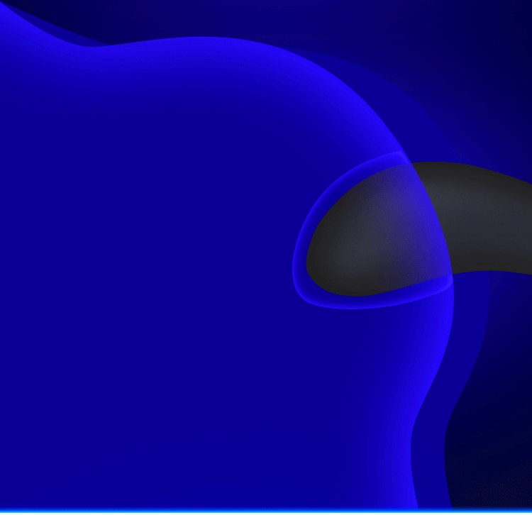 Inflatable Prostate Stimulator Detail