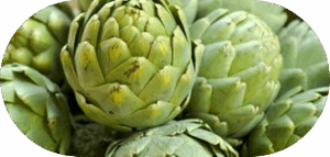 Artichoke Extract