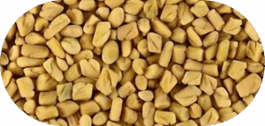Fenugreek