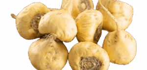 Maca Root